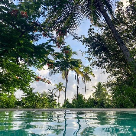 Bellevue Zanzibar Bed and Breakfast Bwejuu Eksteriør billede