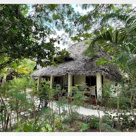 Bellevue Zanzibar Bed and Breakfast Bwejuu Eksteriør billede