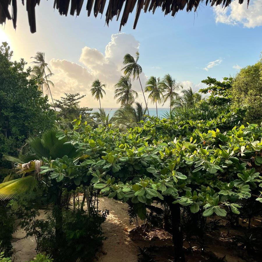 Bellevue Zanzibar Bed and Breakfast Bwejuu Eksteriør billede