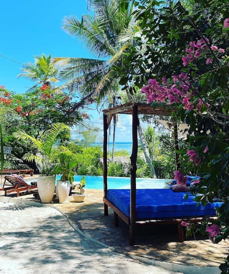 Bellevue Zanzibar Bed and Breakfast Bwejuu Eksteriør billede