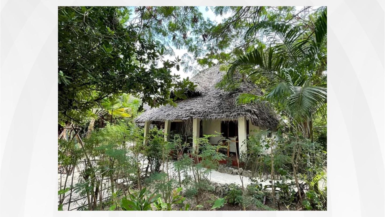 Bellevue Zanzibar Bed and Breakfast Bwejuu Eksteriør billede