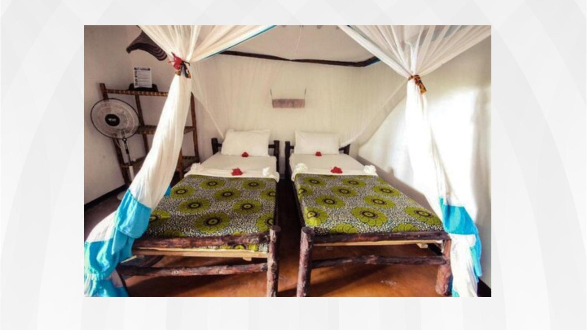 Bellevue Zanzibar Bed and Breakfast Bwejuu Eksteriør billede