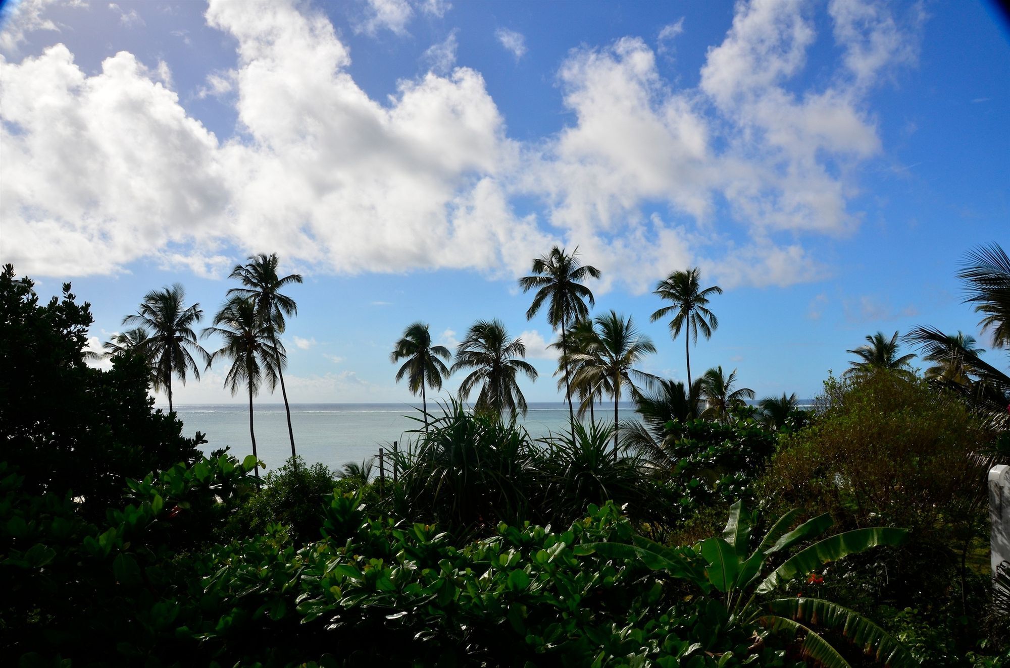 Bellevue Zanzibar Bed and Breakfast Bwejuu Eksteriør billede