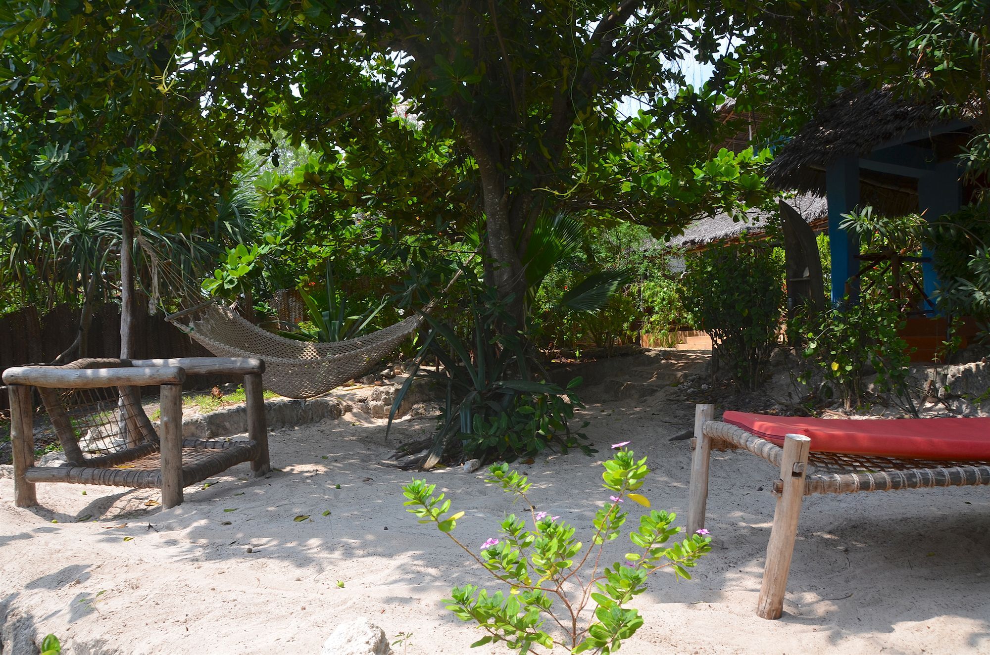 Bellevue Zanzibar Bed and Breakfast Bwejuu Eksteriør billede